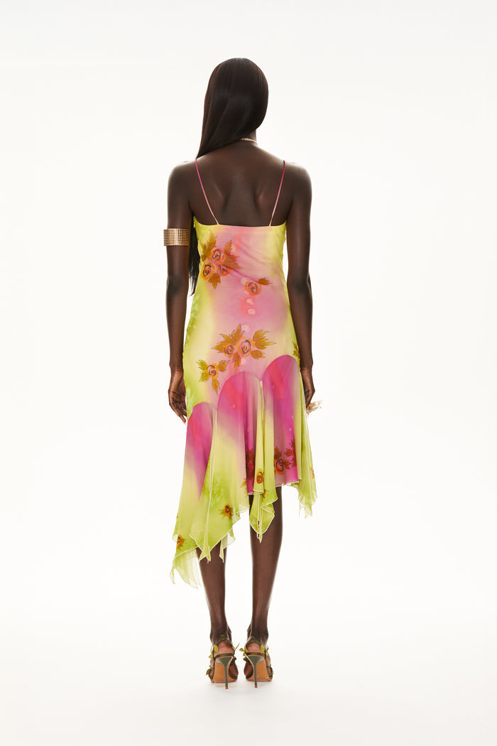 The Coral Gown with shawl